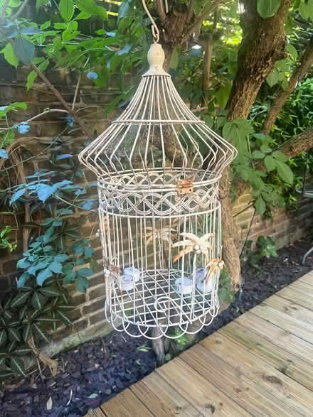 Photo of free Decorative Bird Cage (Bloomsbury -WC1N) #2