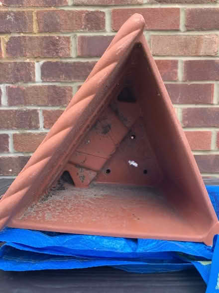 Photo of free Plant Pots (Emsworth PO10) #2