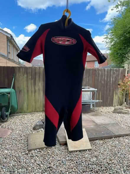 Photo of free Diving/snorkeling (Brighton Hill RG22) #3