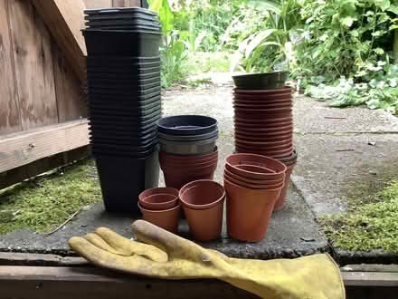 Photo of free Small plastic pots for seedlings mainly 3” (East Law DH8) #1