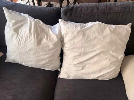 Photo of free 2x large square pillow inserts (Nine Elms SW11) #1
