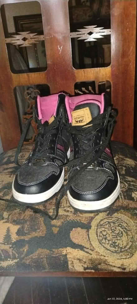 Photo of free size 9 Levi Mid top shoes (Grand River/ Greenfield) #2