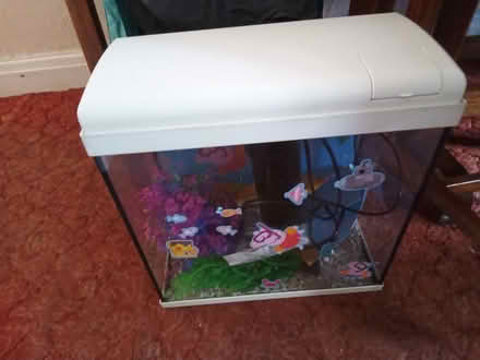 Photo of free Tetra Peppa Pig fish tank (Spotland Bridge OL12) #1