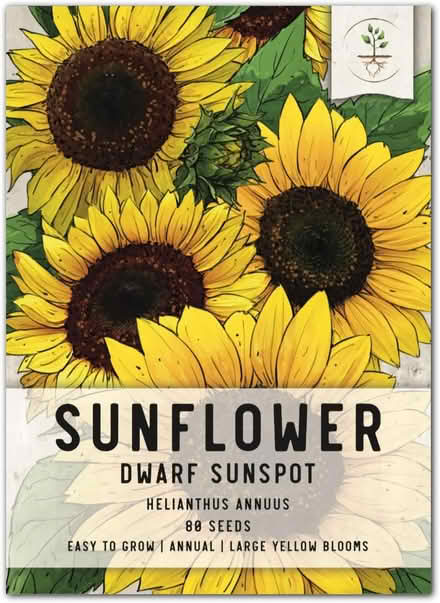 Photo of free Dwarf sunflower seeds for gardeners (Cleveland Park near metro) #1