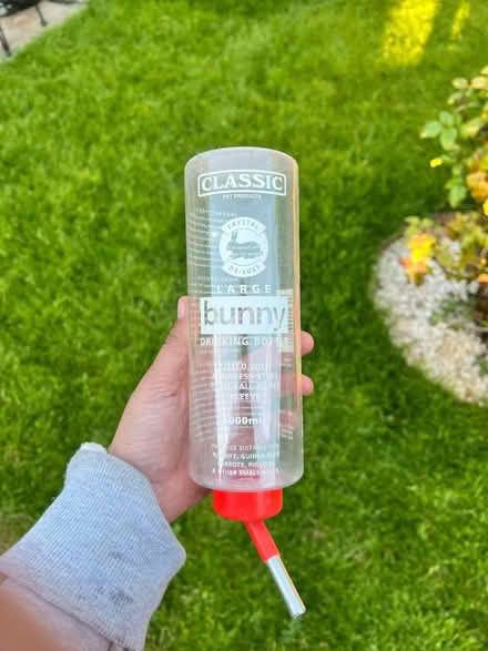 Photo of free Large bunny rabbit drinking bottle (Linton, Cambridgeshire) #1