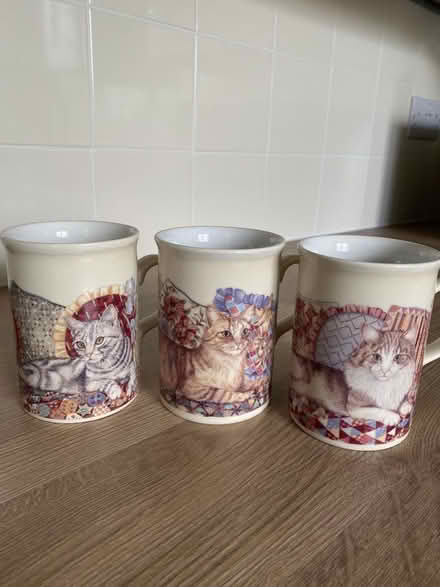 Photo of free Cat mugs (Kingsway) #1