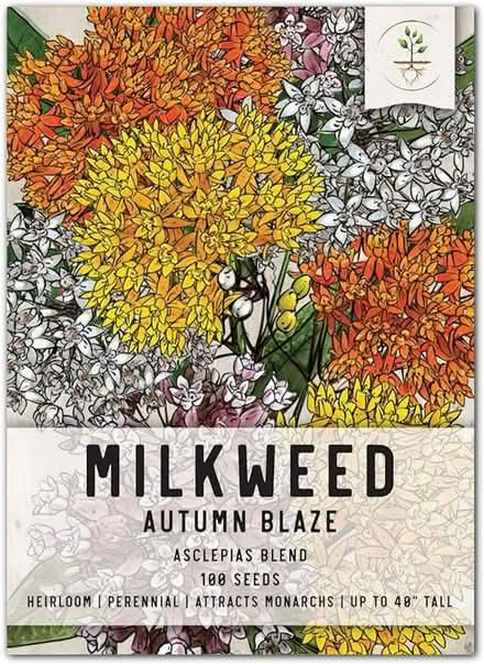 Photo of free Milkweed seeds for gardeners (Cleveland Park near metro) #1