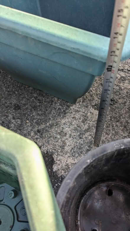 Photo of free Plastic planters and pots (Brimington S43) #3