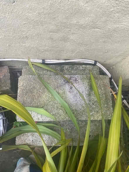Photo of free Masonry solid blocks (Sandyford) #1
