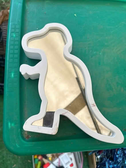 Photo of free T. rex mirror (Woodfield Rd &Airpark Rd) #1