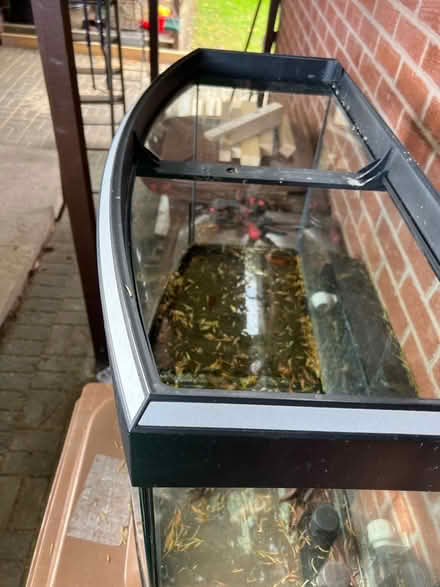 Photo of free Global curved glass front fish tank (PR5 lostock hall) #3