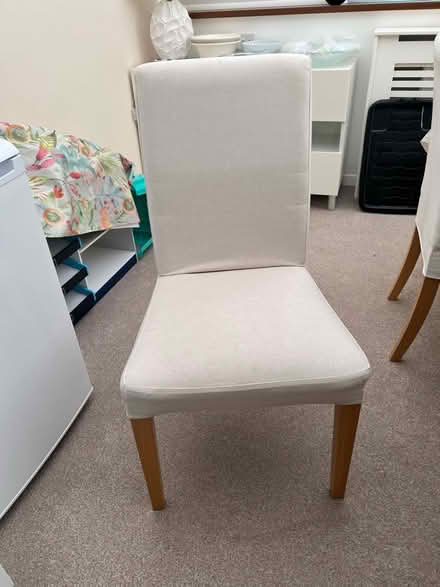 Photo of free Dining chairs (South Bretton Peterborough) #1