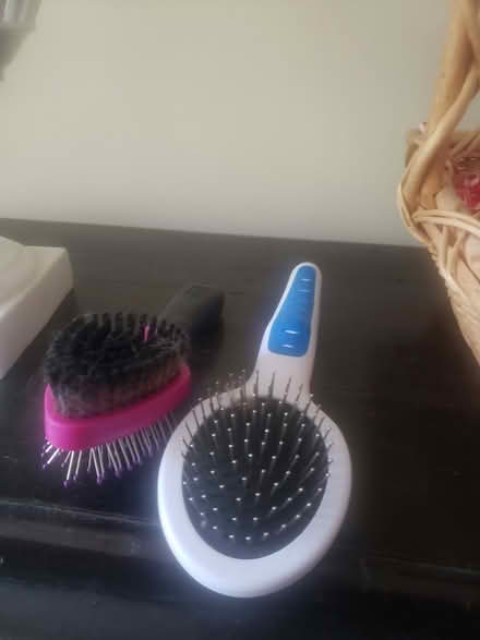 Photo of free Baskets, dog brushes (Wayne - Chester County) #2