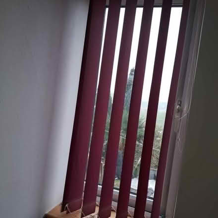 Photo of free Vertical Window Blind - burgundy/wine colour (Saltdean BN2) #2