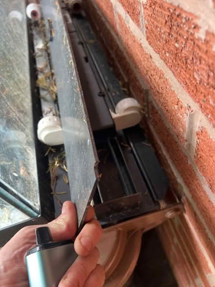 Photo of free Global curved glass front fish tank (PR5 lostock hall) #4