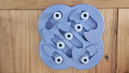 Photo of free Dog toys and puzzles (Reading RG1) #1