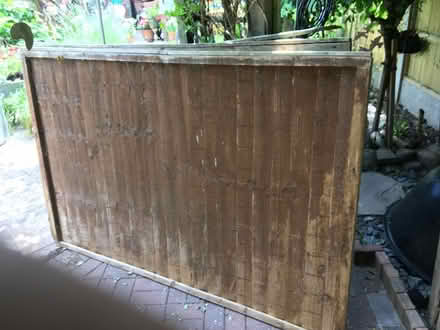 Photo of free Fencing Panels (Worcester) #4