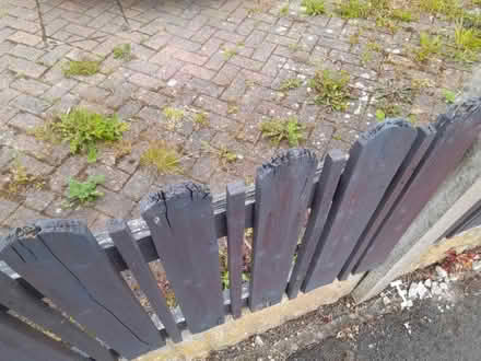 Photo of free Old fence panels 6 feet wide by 2 foot high . (Penwortham Lane PR1) #2