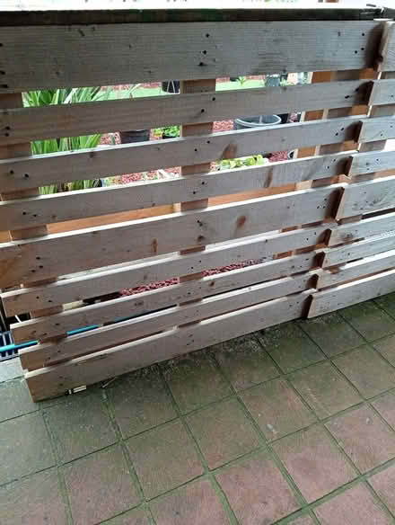 Photo of free Pellets (Bellfield) #2