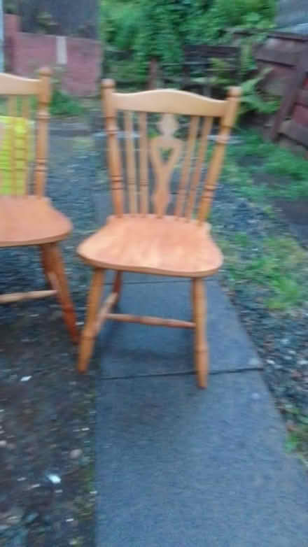 Photo of free Dining chairs (Cardonald) #2