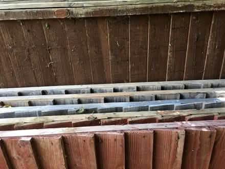 Photo of free Fencing Panels (Worcester) #3