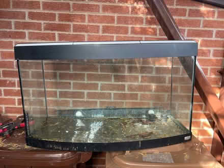 Photo of free Global curved glass front fish tank (PR5 lostock hall) #1