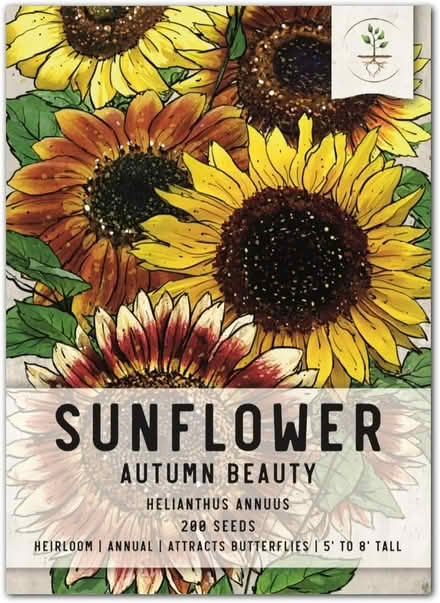 Photo of free Sunflower seeds for gardeners (Cleveland Park near metro) #1