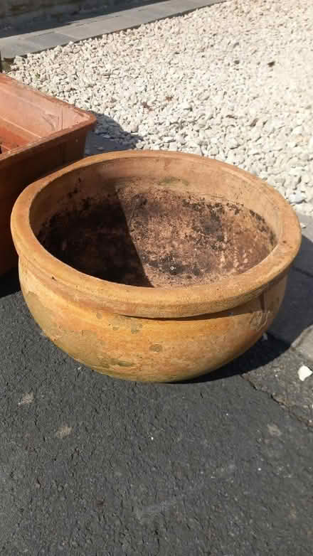 Photo of free Big plant pots (Dudley) #2