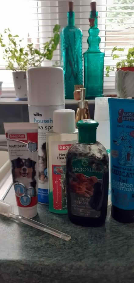 Photo of free Miscellaneous dog shampoos (Harlow Stow area) #1
