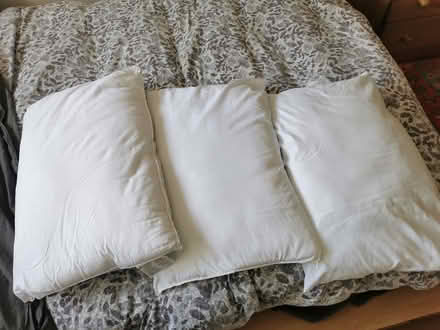 Photo of free Three fairly new pillows (OX4 - Iffley / Cowley) #1