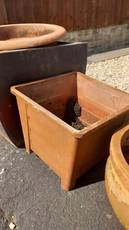 Photo of free Big plant pots (Dudley) #3