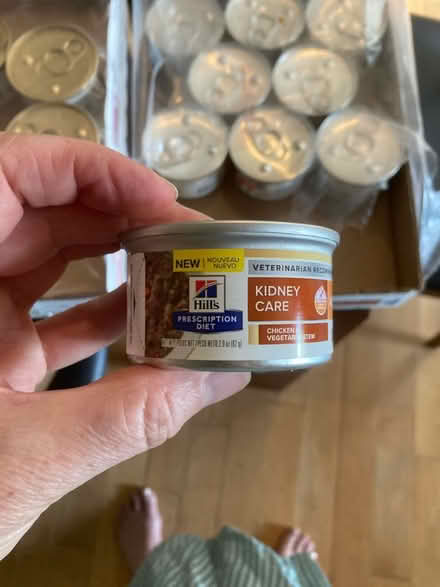 Photo of free Kidney support cat food (Roxborough/ Wissahickon) #2