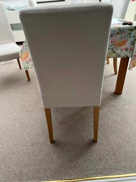 Photo of free Dining chairs (South Bretton Peterborough) #3