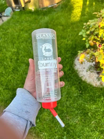 Photo of free Large bunny rabbit drinking bottle (Linton, Cambridgeshire) #2