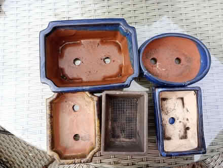 Photo of free Shallow Bonsai pots (Moorhouse CA5) #1