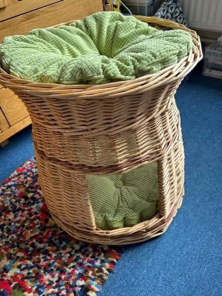 Photo of free Cat basket (Old Windsor SL4) #1