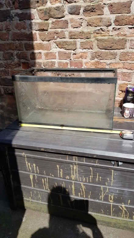 Photo of free 2 foot glass fish tank (Orford WA2) #1
