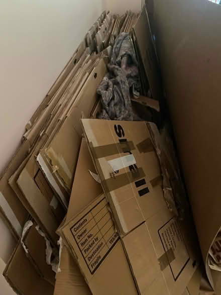 Photo of free Moving boxes - near acton central (Acton W3) #1