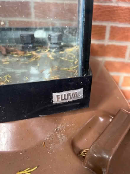 Photo of free Global curved glass front fish tank (PR5 lostock hall) #2