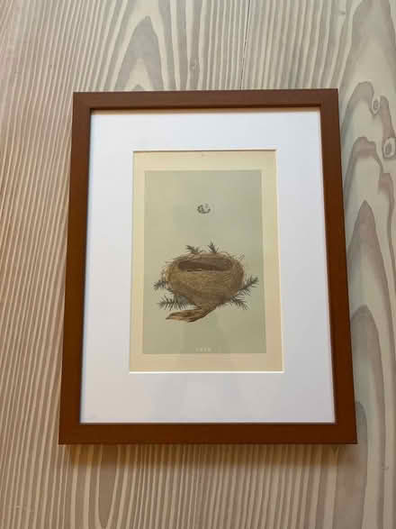 Photo of free Framed picture (Highbury and Islington) #1