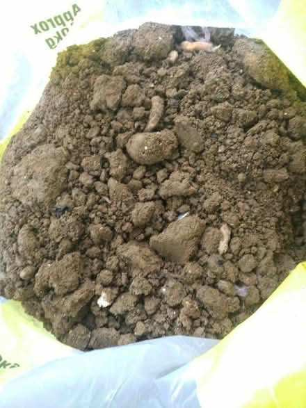 Photo of free Soil (Norham Manor OX2) #3