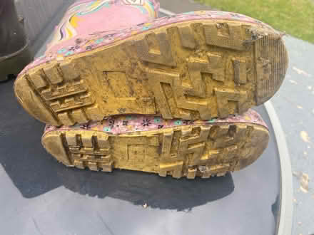 Photo of free Welly boots (SM6) #3