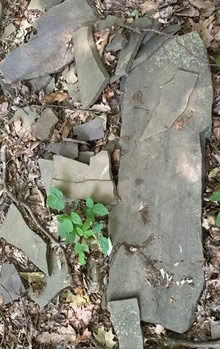 Photo of free Pieces of Slate or Bluestone (Port Murray, NJ) #3