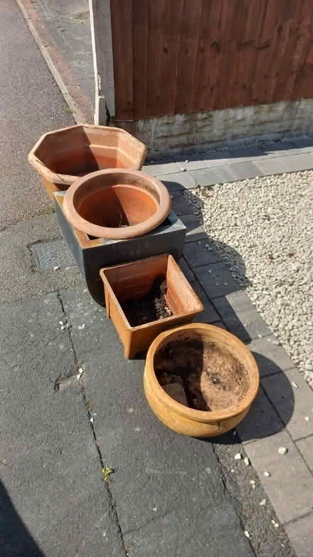 Photo of free Big plant pots (Dudley) #1