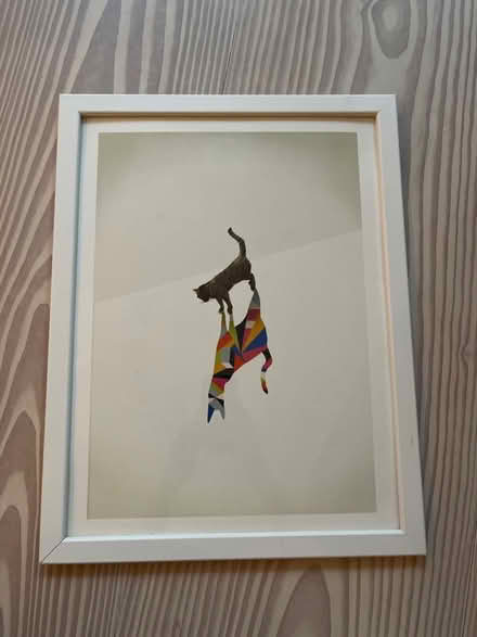 Photo of free Framed cat print (Highbury and Islington) #1