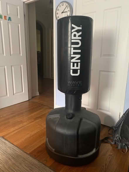 Photo of free Kick boxing punching bag (Prospect Heights) #1