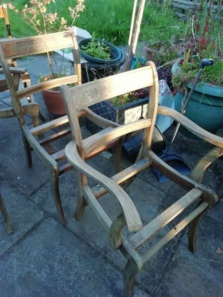 Photo of free Set of 6 dining chairs ready to upcycle (Burnage M19) #1