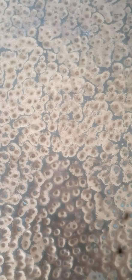 Photo of free Copper table/ bench (E4) #2