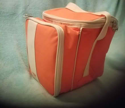 Photo of free Picnic Coolbag (Winton BH9) #1