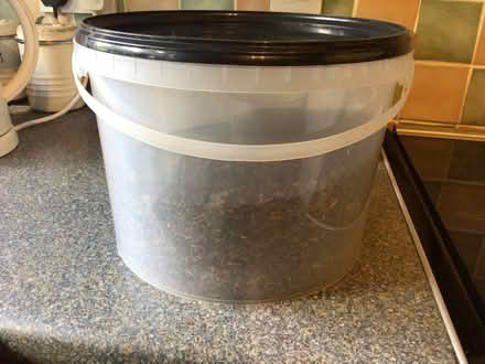 Photo of free Tub of Niger seeds (Nairn IV12) #1